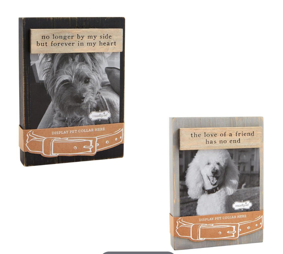 Pet Collar Keepsake Frame