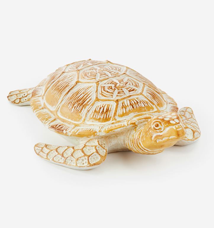 Ocean Turtle