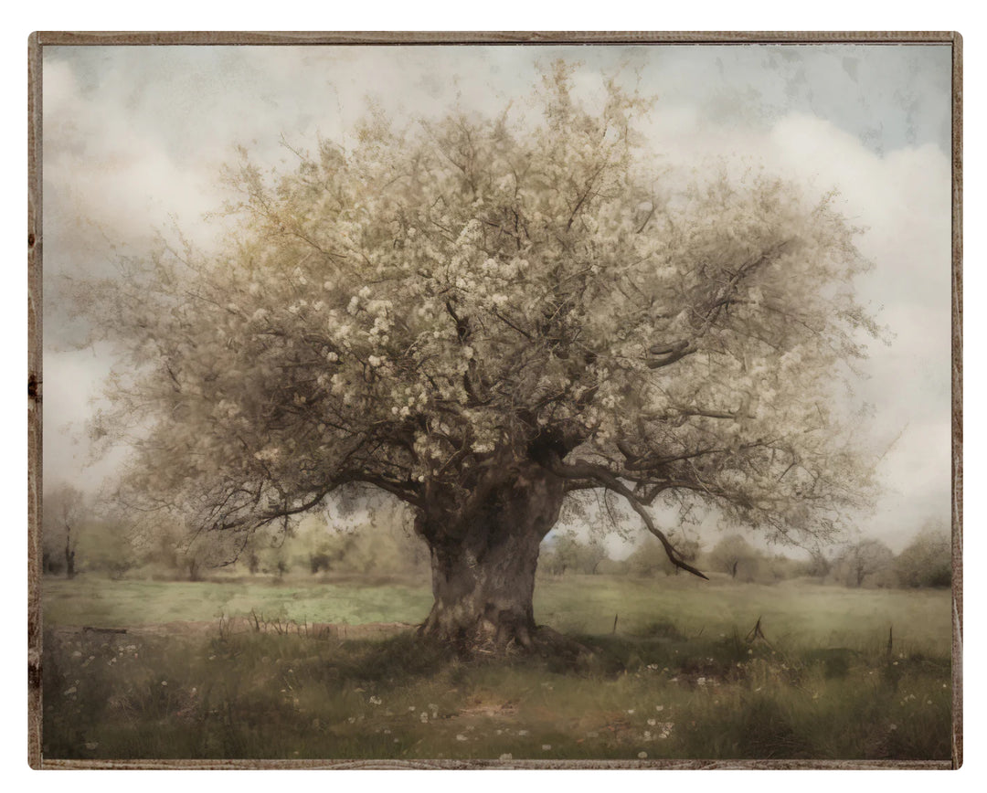 152 Vintage Tree Sign