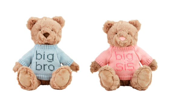 Plush Big Sis/Bro Teddy Bear