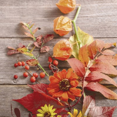 Fall Lunch Napkins