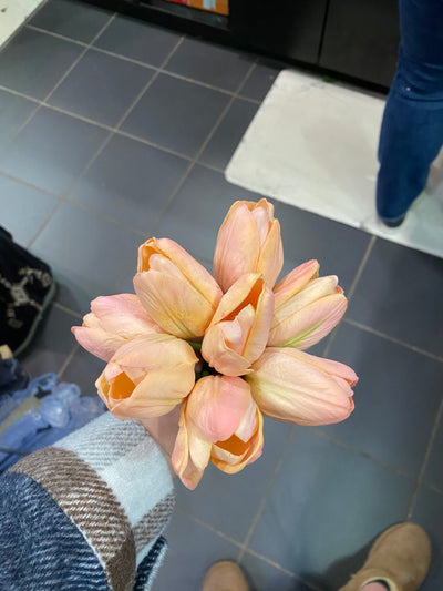 Bundle Of 7 Tulips