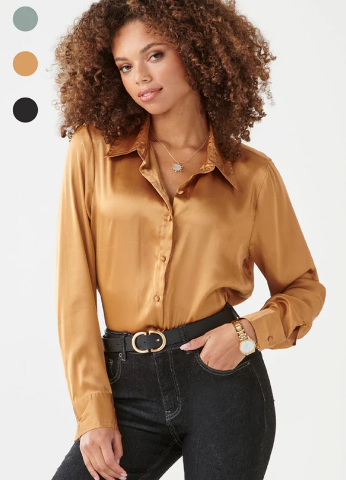 Satin Long Sleeve Blouse