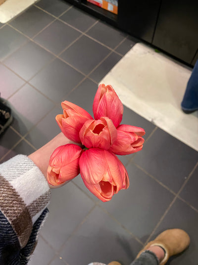 Bundle Of 7 Tulips