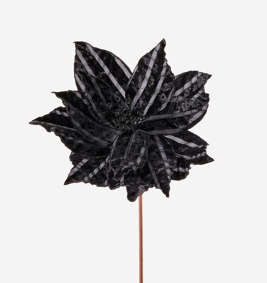 Black Poinsettia Flower Spray
