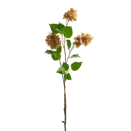 45” Dried Hydrangea Branch