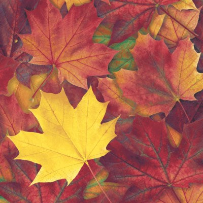 Fall Lunch Napkins