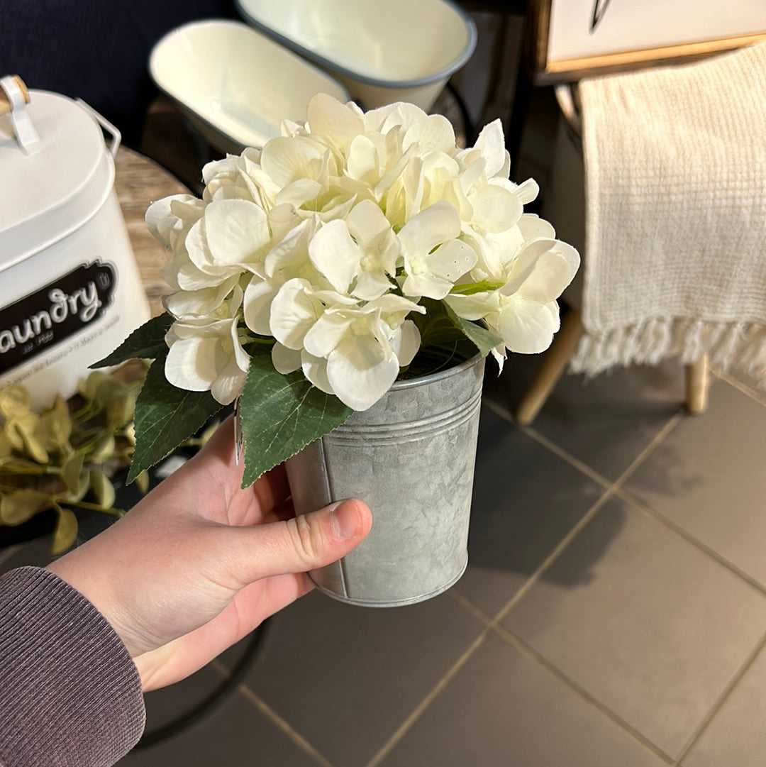 Hydrangea Pots