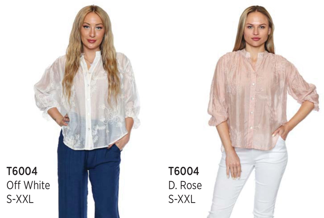 Sheer Button Front Blouse
