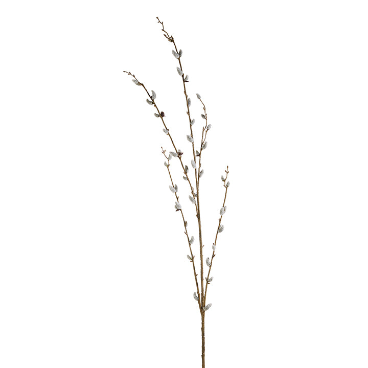 46” Pussy Willow Branch