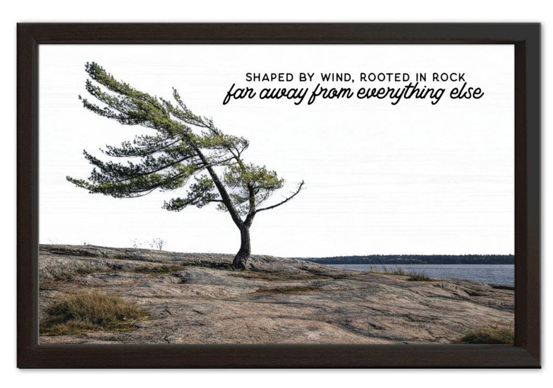 Shaped By The Wind Sign