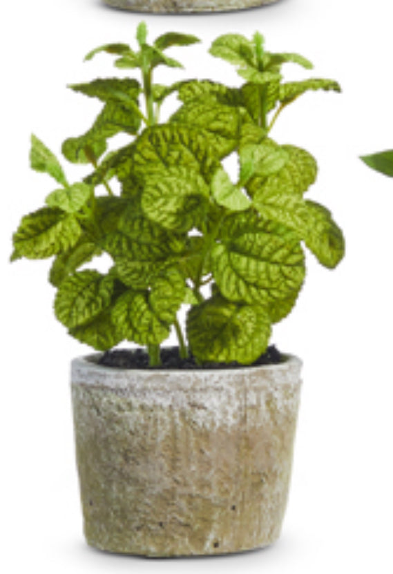 8.25” Potted Herb