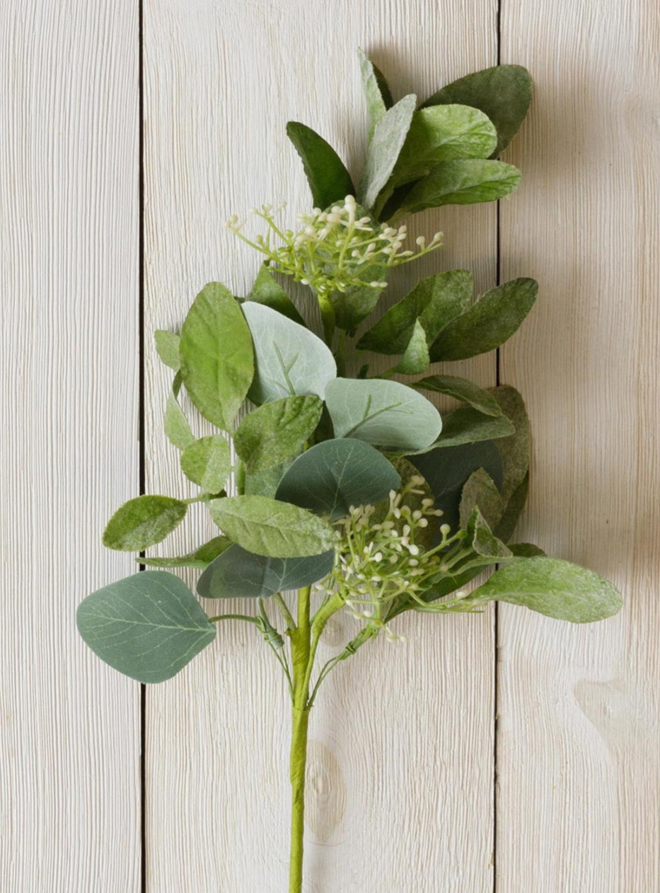 Seeded Silver Dollar Eucalyptus Pick