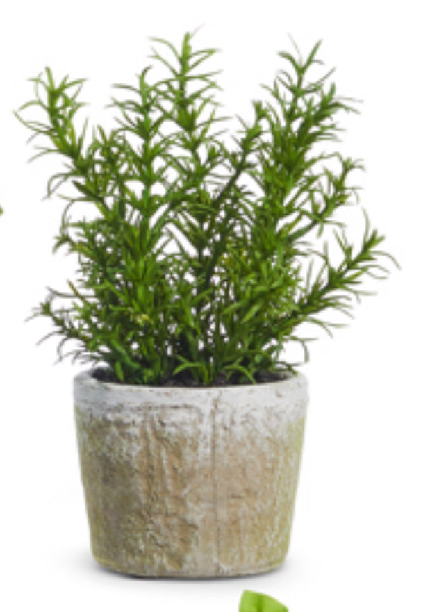 8.25” Potted Herb