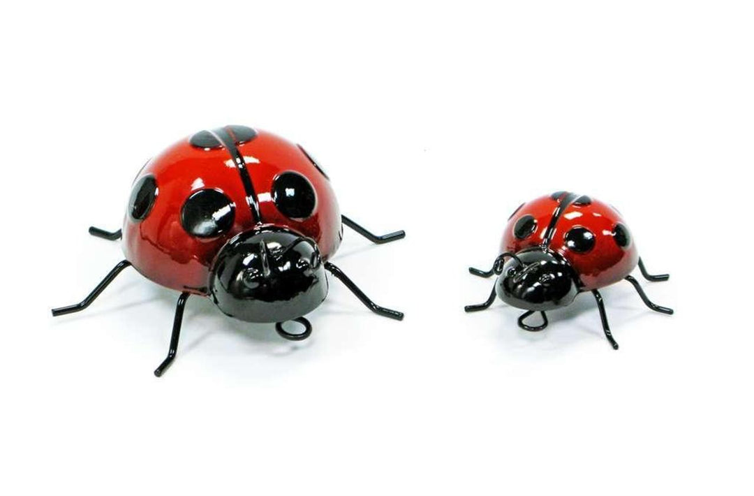 Set Of 2 Ladybugs