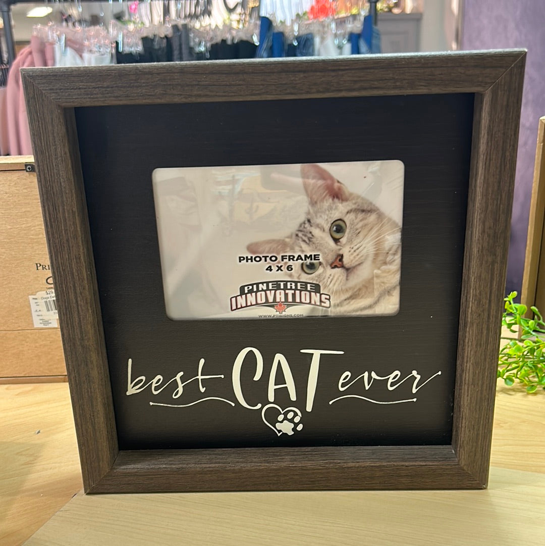 Best Cat Ever