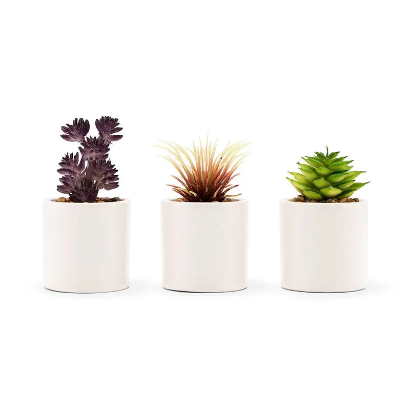 Small Faux Succulents