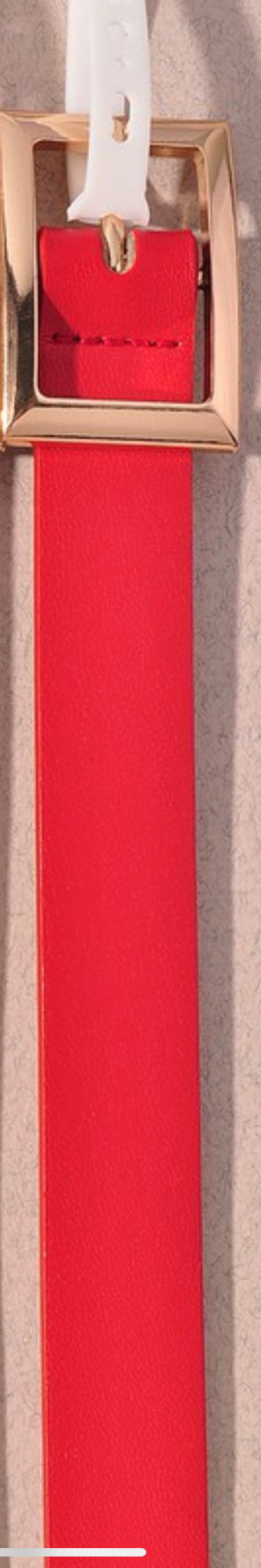 Basic Belt