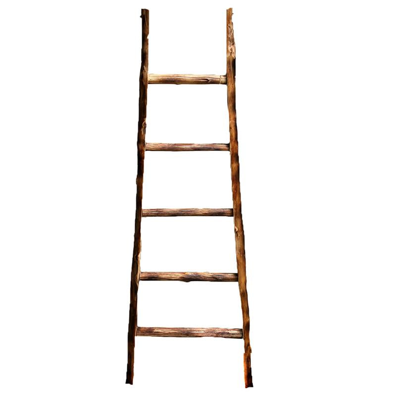 Ladder Decor