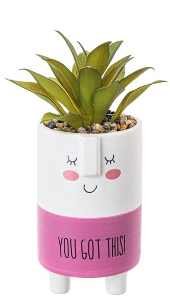 Kindness succulent pot