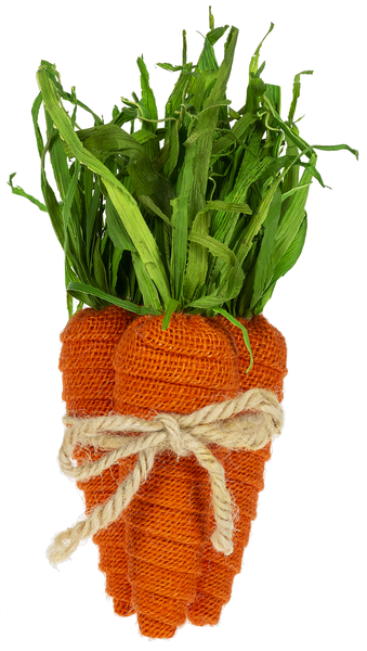 Burlap carrots