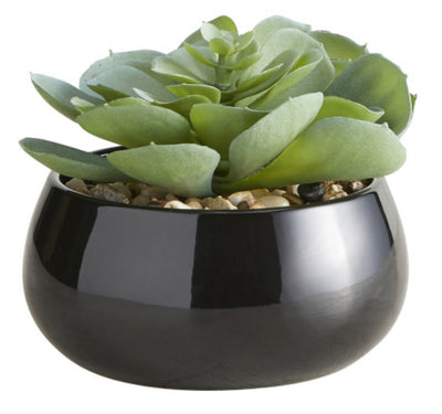 Black Succulent Pot