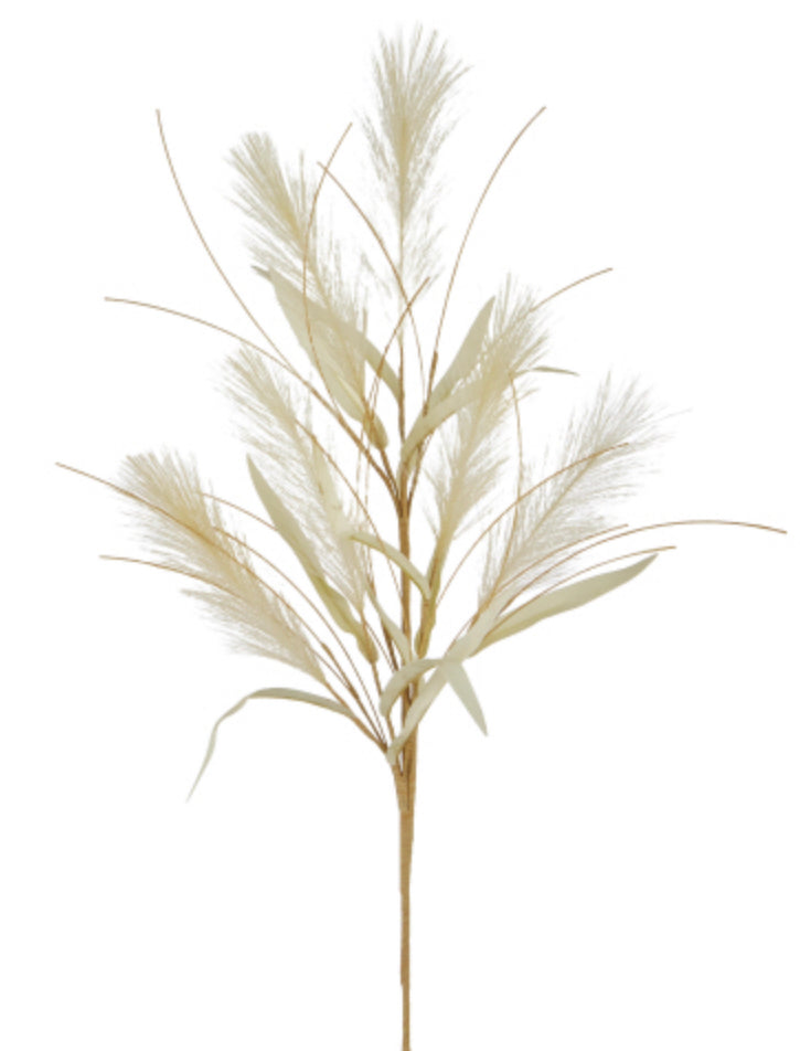 Dried Grass Spray