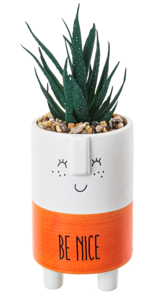 Kindness succulent pot