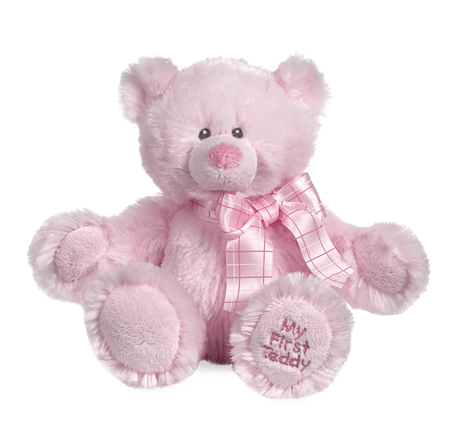 My First Teddy Bear