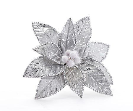 Silver Clip Poinsettia
