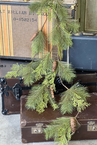 Stone Pine Hemlock Vine