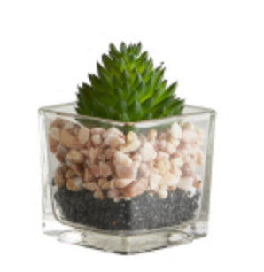 Succulent Square Pot
