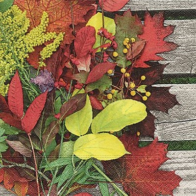 Fall Lunch Napkins