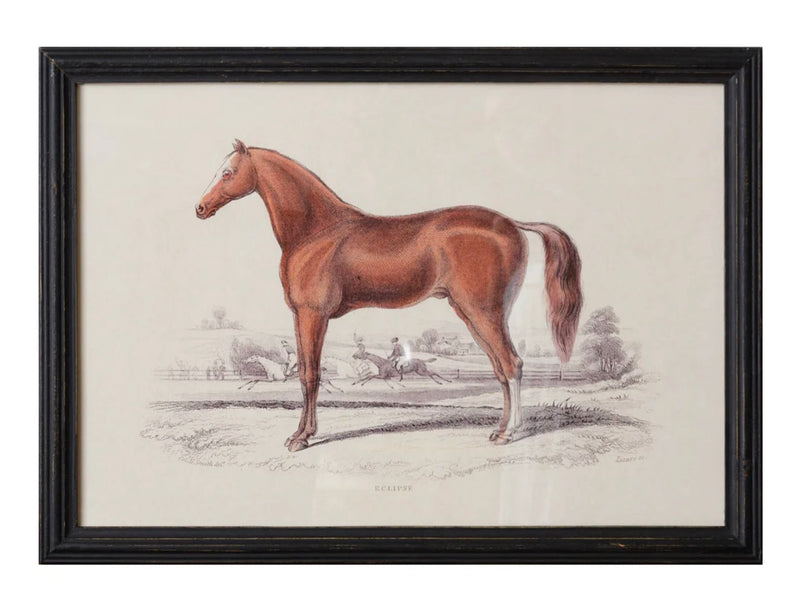 Framed Horse Print 15.5X22in